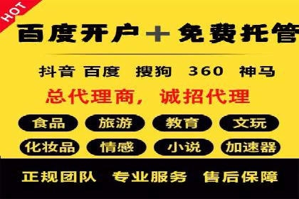 某行业领军企业的SEM广告投放策略